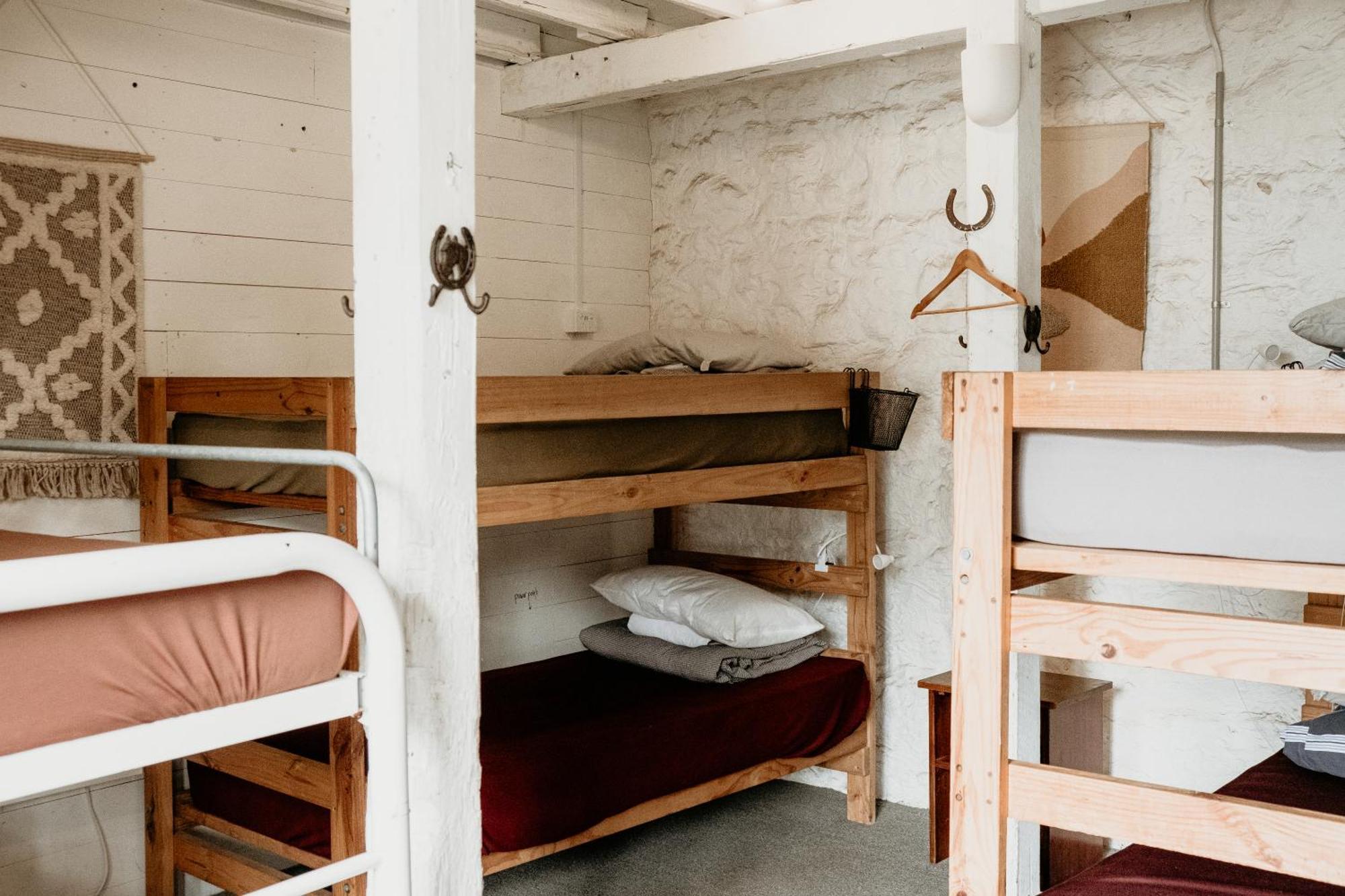 The Wandering Whale Hostel *