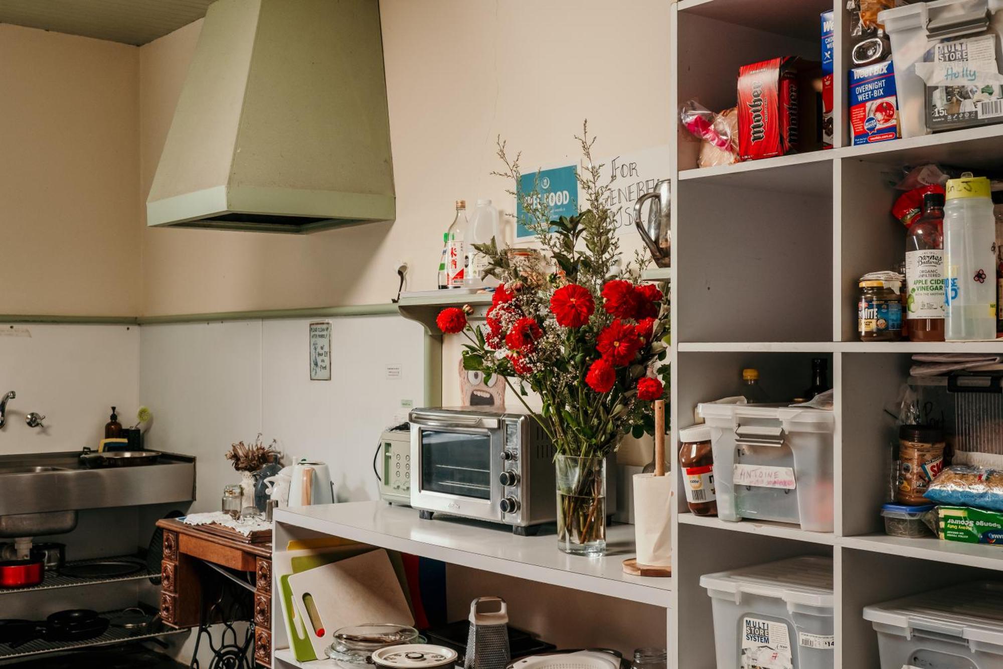 The Wandering Whale Hostel